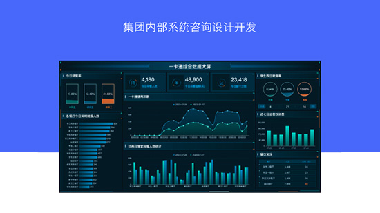 集團內部系統咨詢設計開發